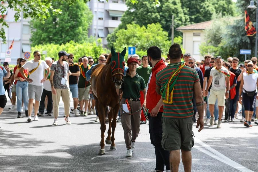immagine di sfondo 51