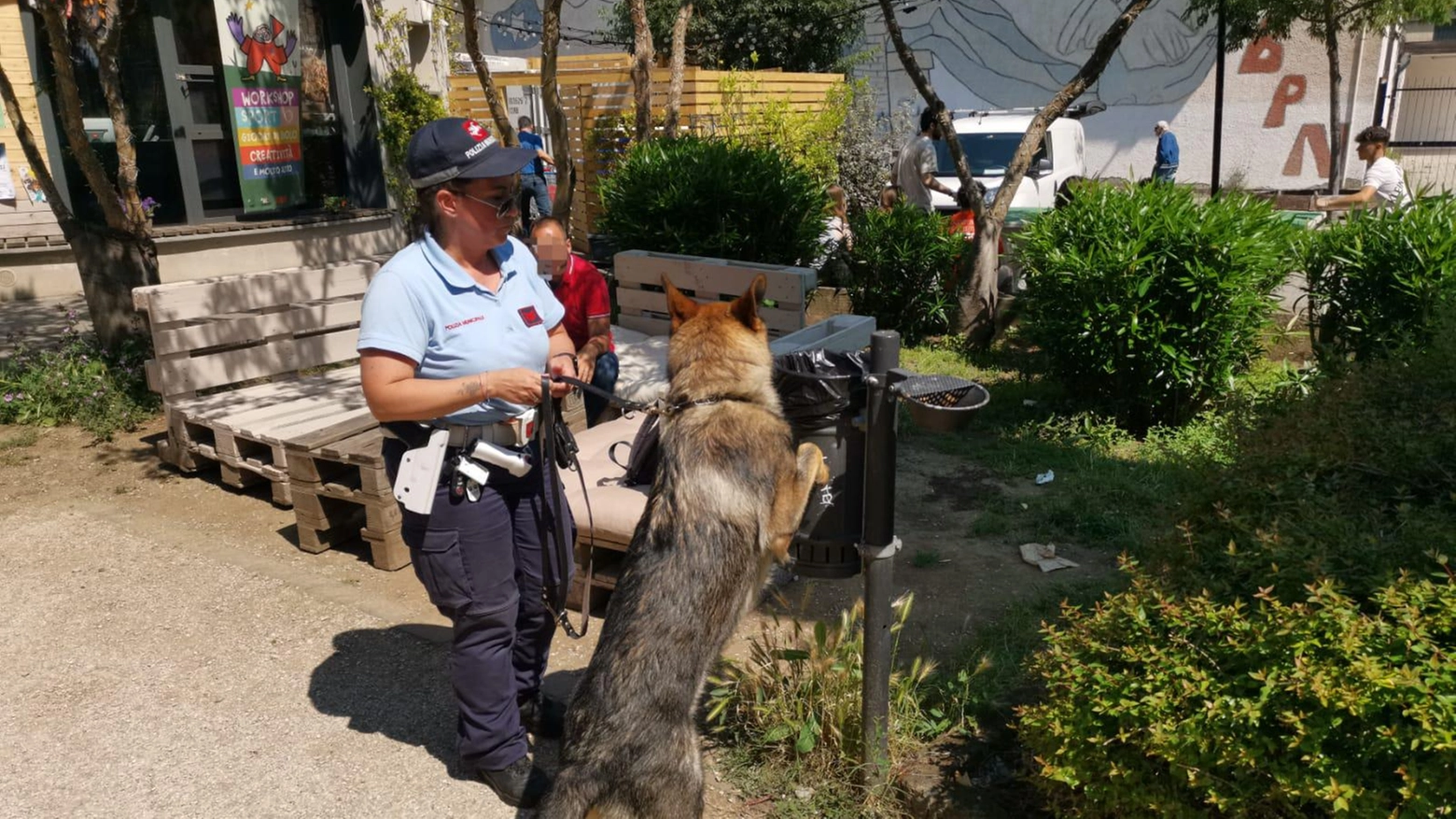 Lotta allo spaccio della droga Lotta allo spaccio della droga