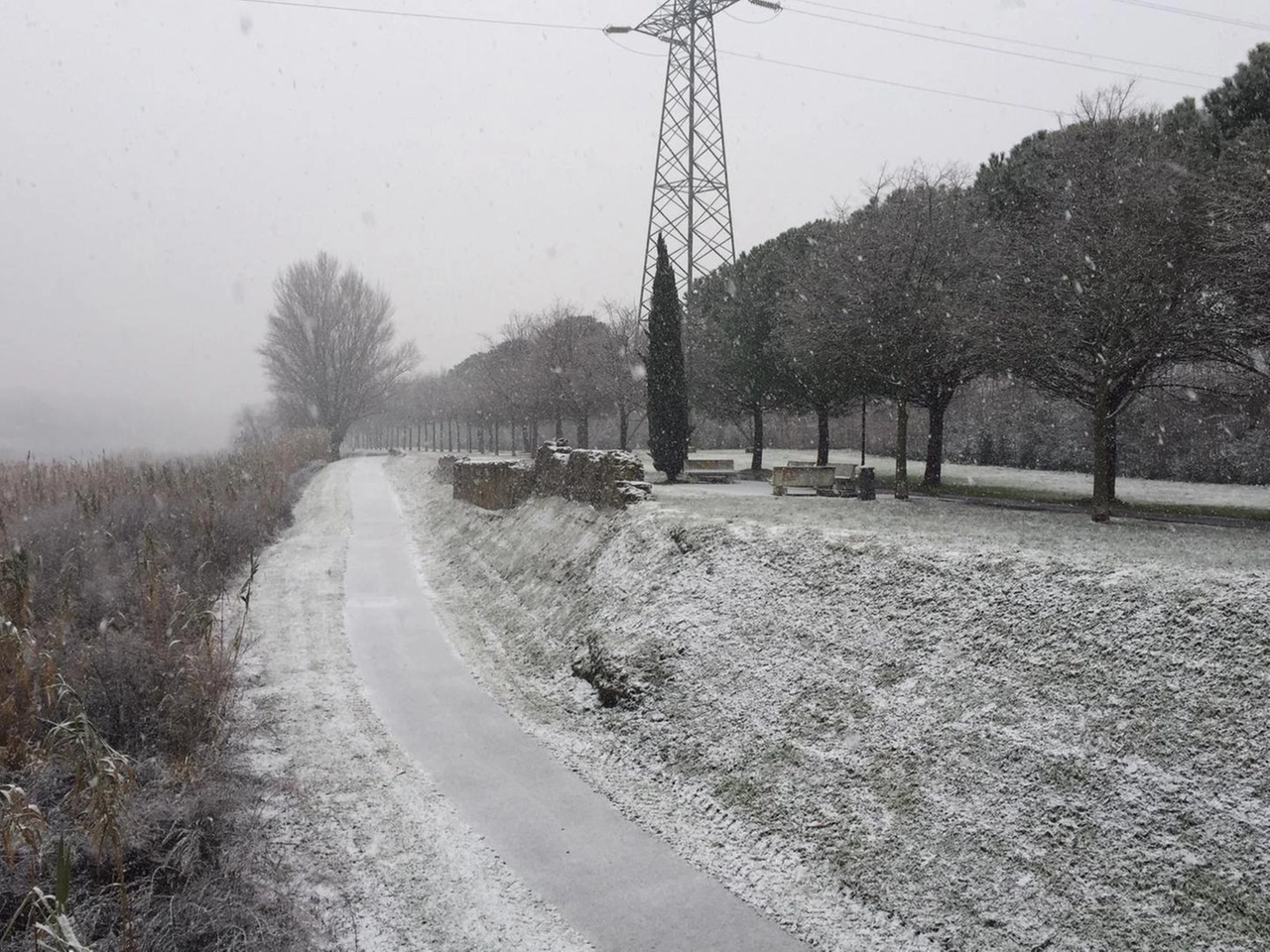 immagine di sfondo 7