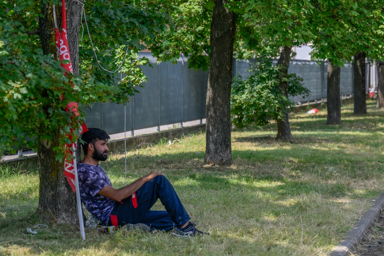 immagine di sfondo 12