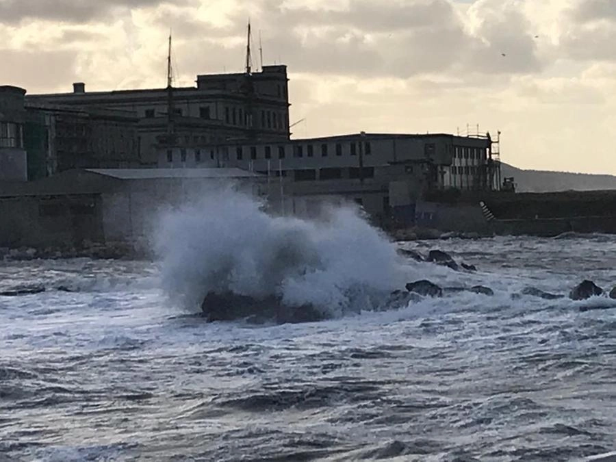 immagine di sfondo 11