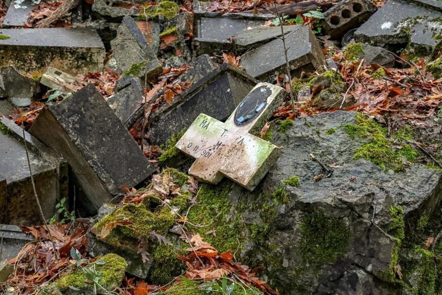immagine di sfondo 6