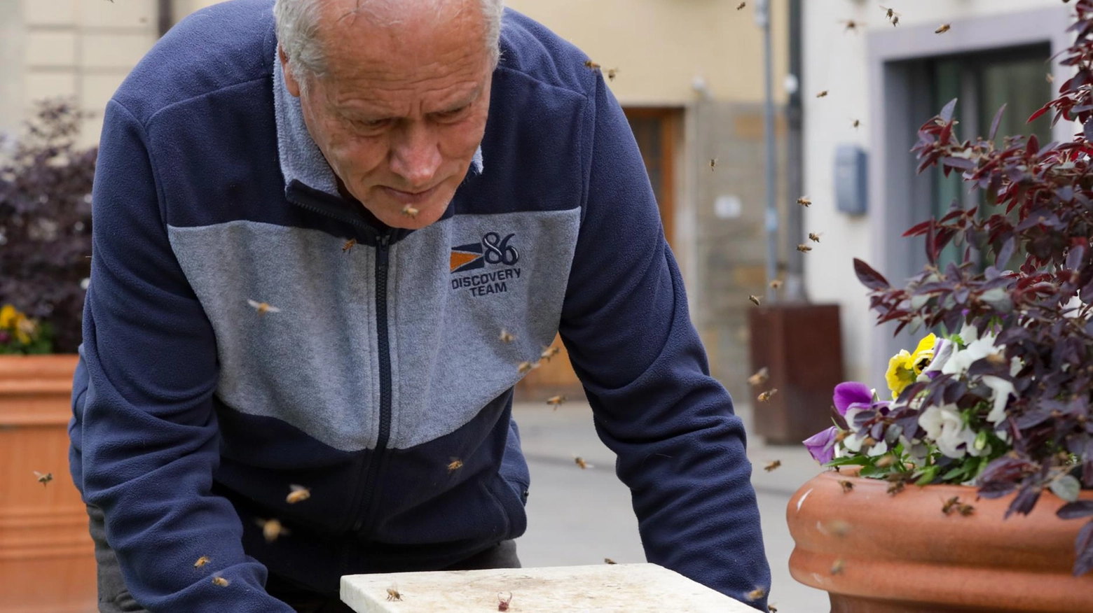 "Salvare gli insetti impollinatori" "Salvare gli insetti impollinatori"