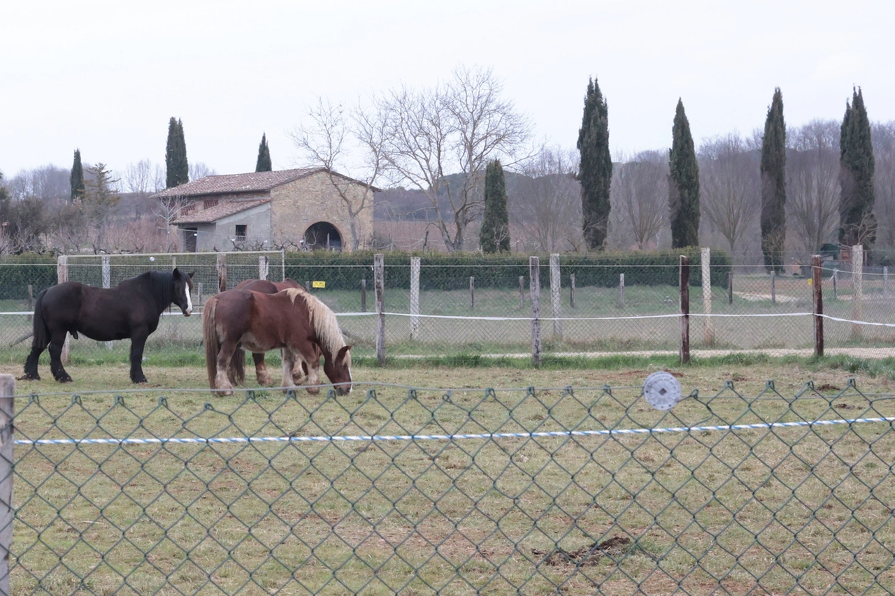 immagine di sfondo 7