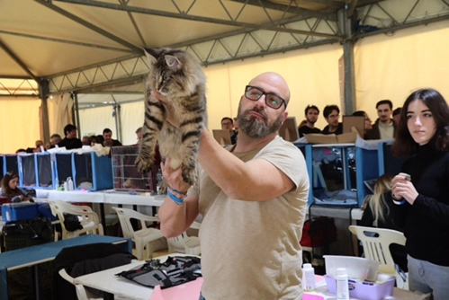 immagine di sfondo 6