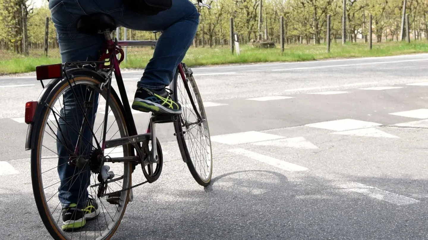 Albero crolla sulla pista ciclabile