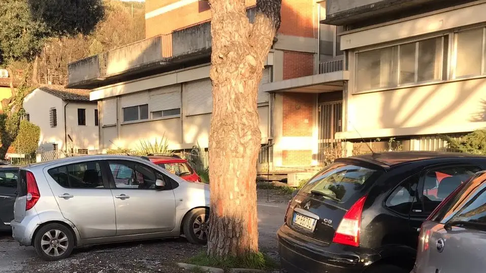 Ex Asl, sosta a ostacoli Radici sporgenti e buche Fioccano le proteste Ex Asl, sosta a ostacoli Radici sporgenti e buche Fioccano le proteste