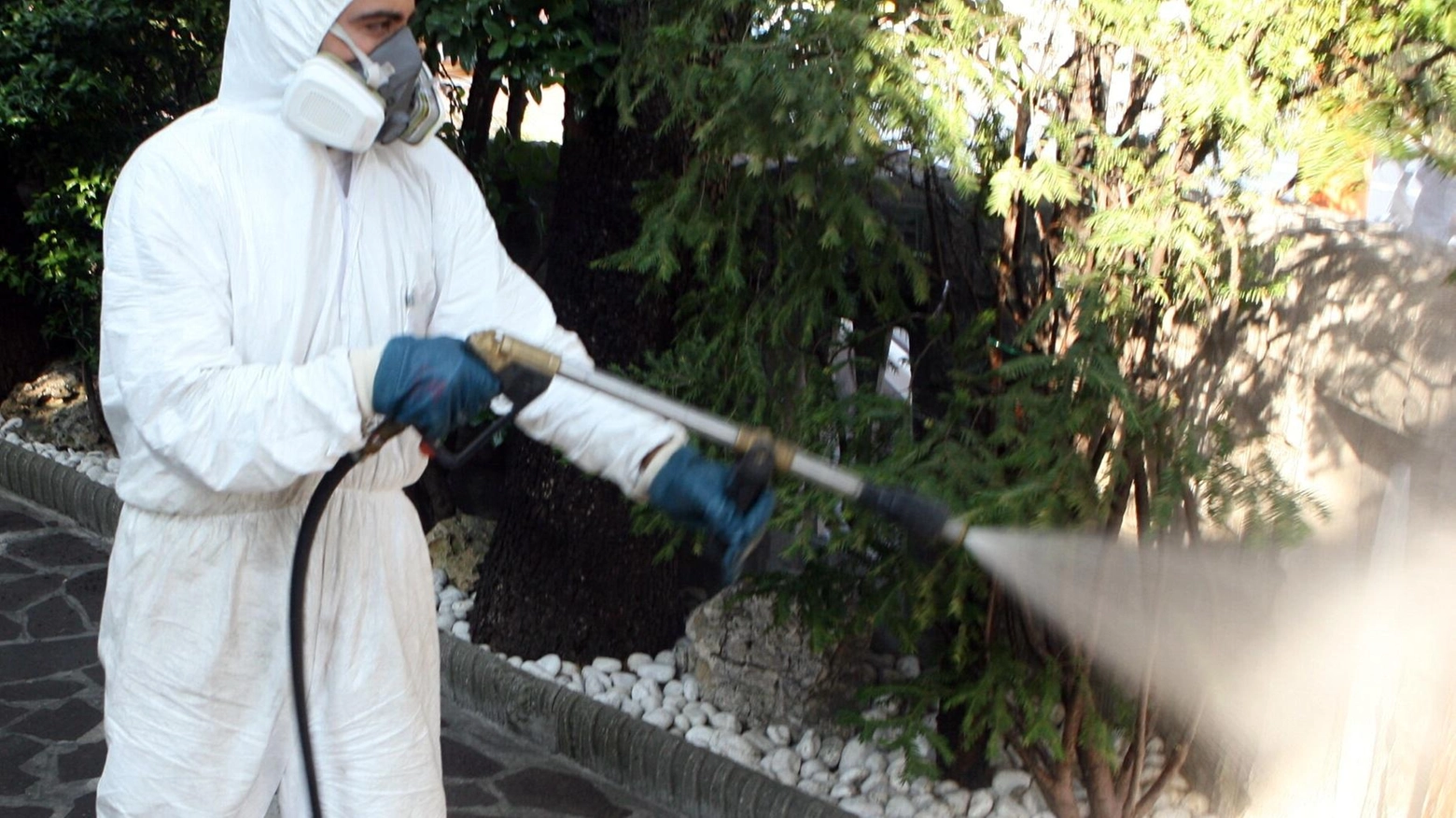 Dengue, ancora un contagio  Disinfestata mezza città