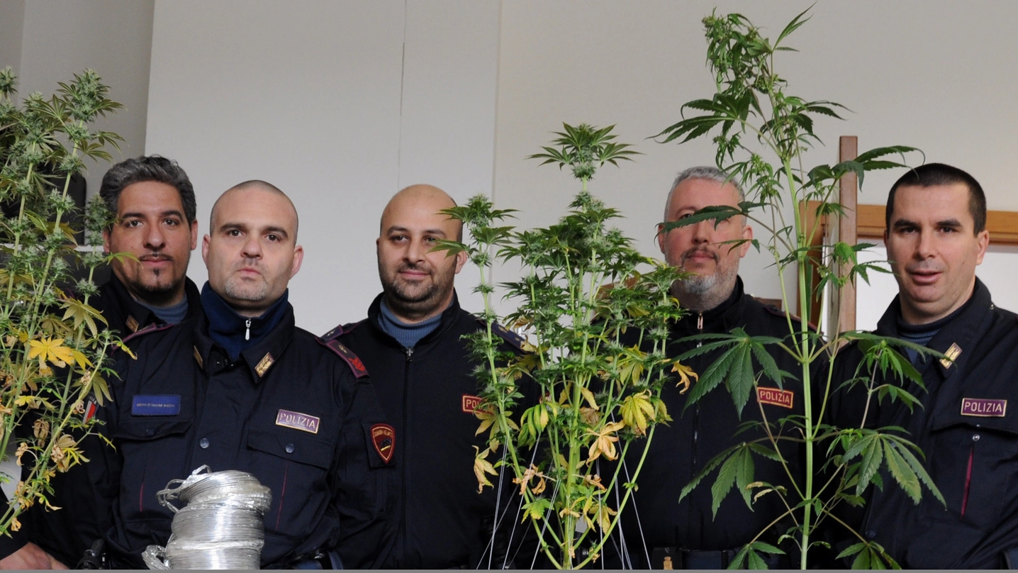 La polizia con le piante di marijuana sequestrate