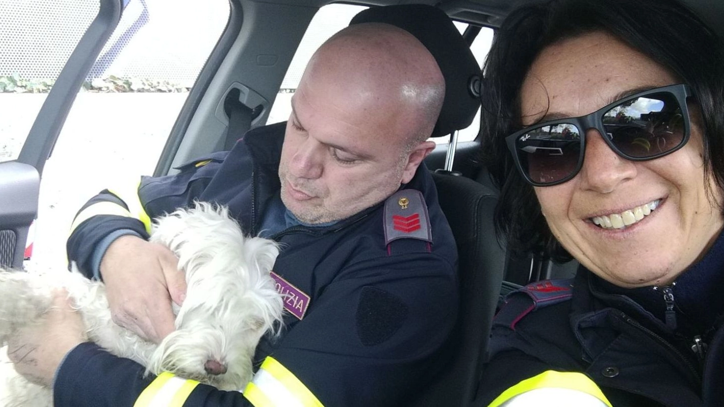 La canina salvata dai due agenti della stradale