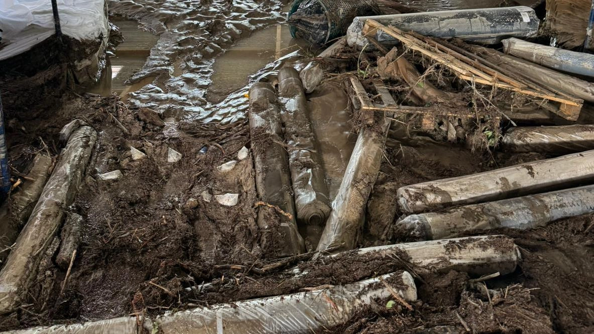 Scarti tessili e costi. Confindustria: "Trattare i materiali alluvionati come rifiuti urbani"