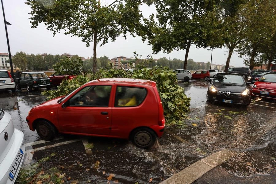 immagine di sfondo 1