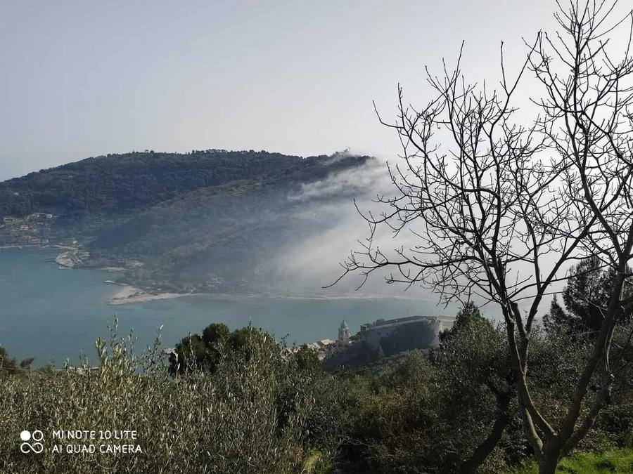 immagine di sfondo 2