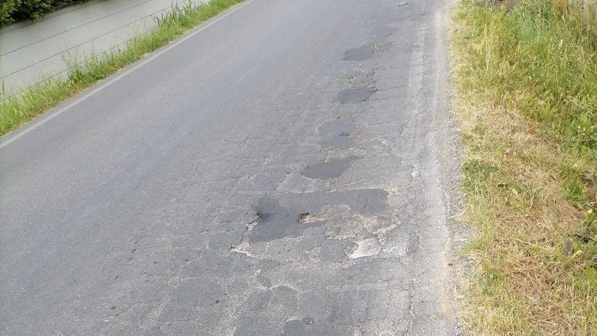 Moschini (FdI), accuse di degrado dell’asfalto in via di Carraia