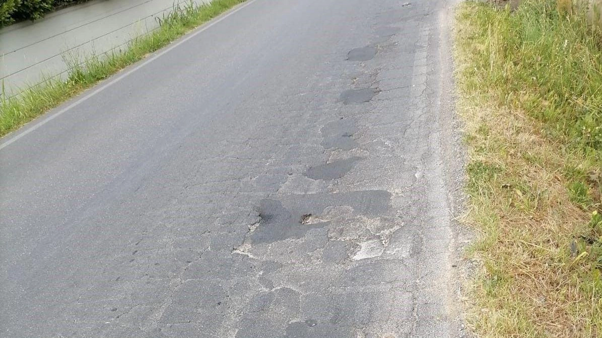 Moschini (FdI), accuse di degrado dell’asfalto in via di Carraia Moschini (FdI), accuse di degrado dell’asfalto in via di Carraia