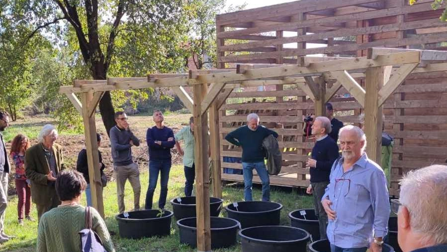 Riserva del lago di Sibolla. Nuova struttura Riserva del lago di Sibolla. Nuova struttura