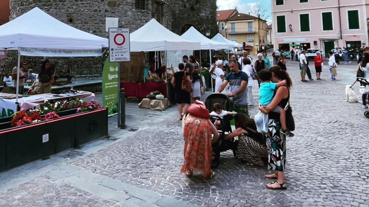 Valle Bio Festival, si alza il sipario "Sarà la festa della agri-cultura" Valle Bio Festival, si alza il sipario "Sarà la festa della agri-cultura"