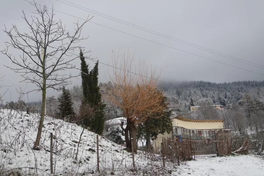immagine di sfondo 5