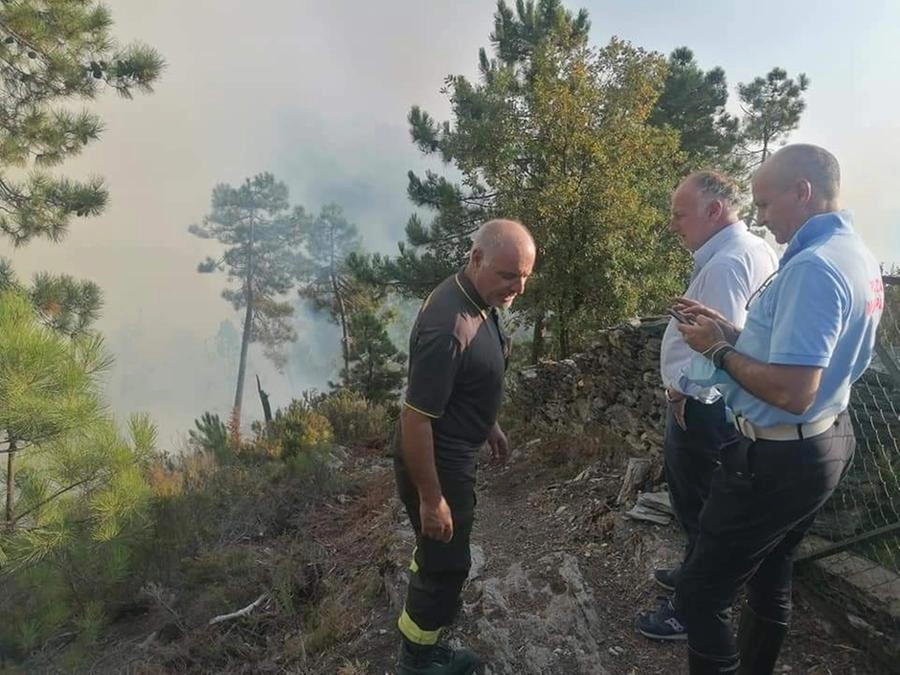 immagine di sfondo 13