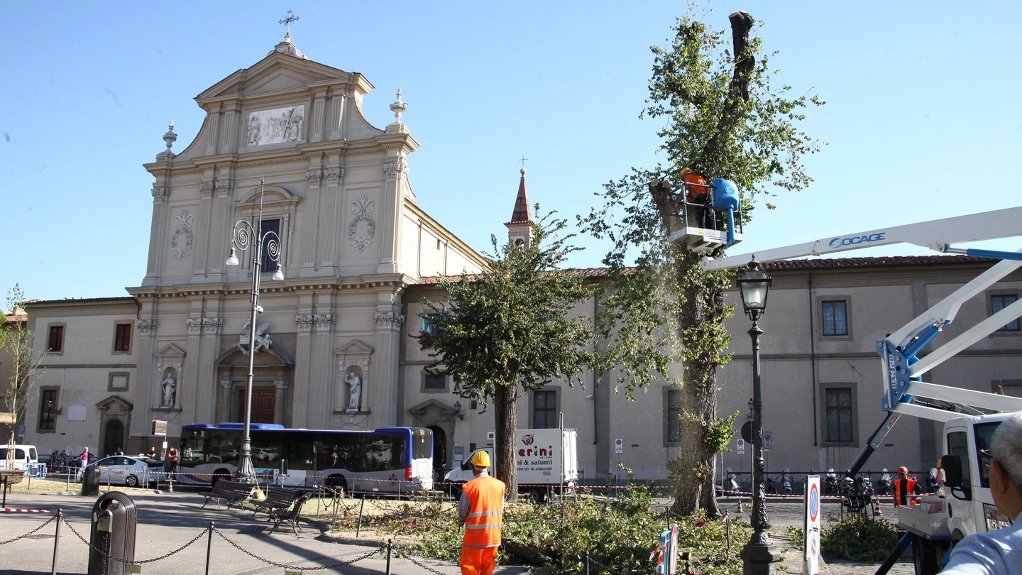 Taglio degli alberi in piazza San Marco (Foto Umberto Visintini/New Press Photo)