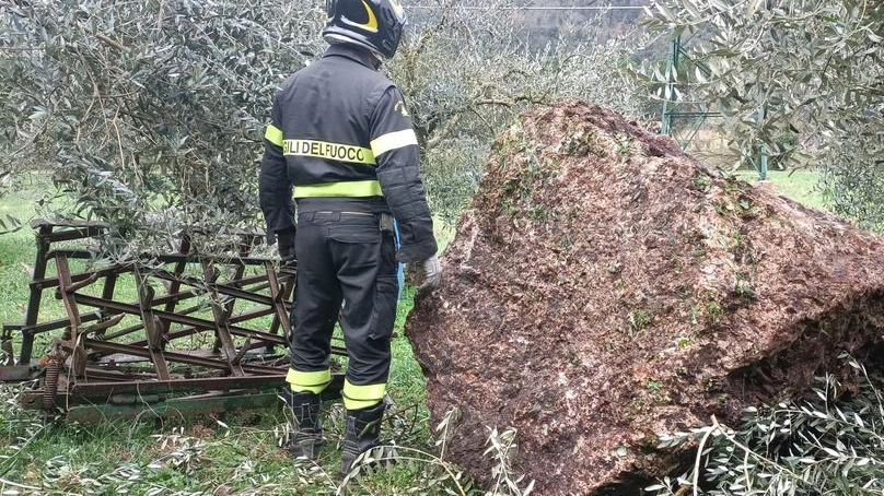 Masso sulla strada 79 Sono iniziati i lavori Masso sulla strada 79 Sono iniziati i lavori