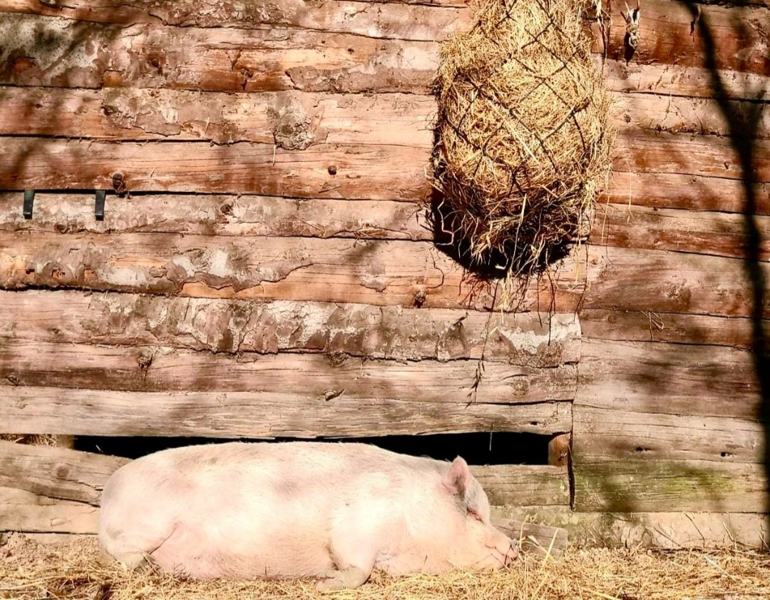 immagine di sfondo 18