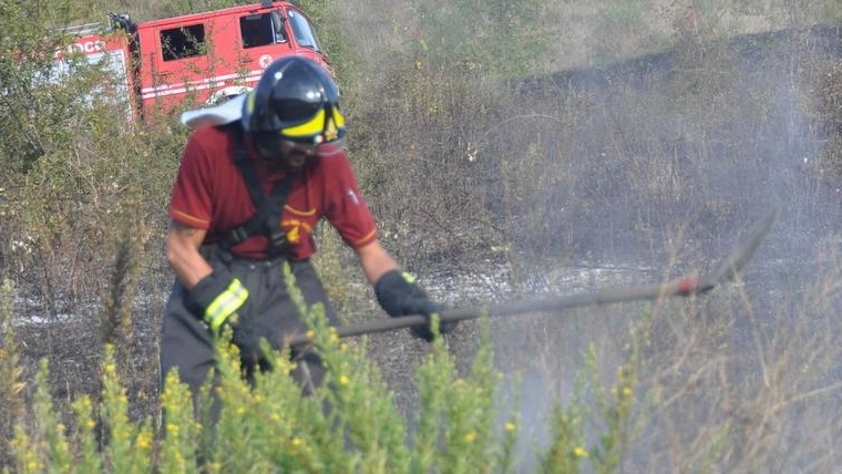 incendio sterpaglie (foto Frasca) 