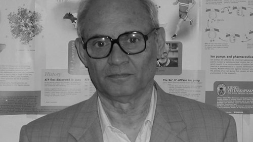 Il professor Renzo Rossi