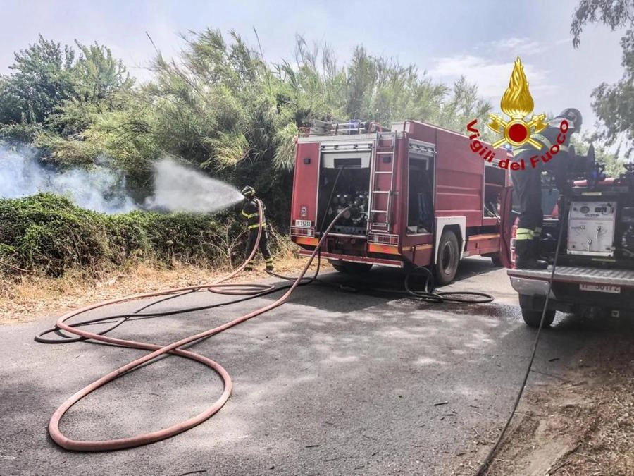 immagine di sfondo 6