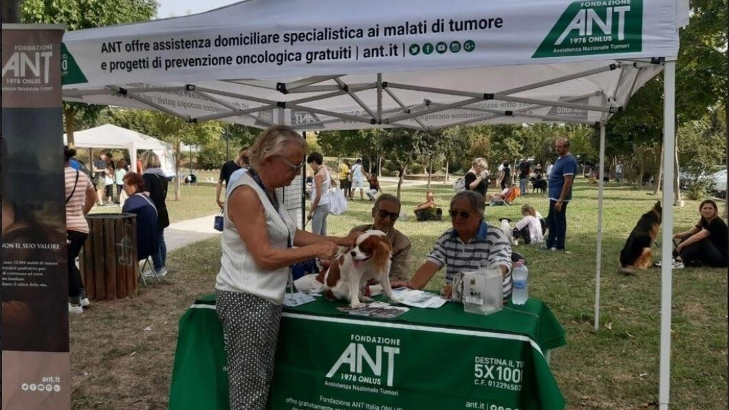 "Facciamo cagnara". Solidarietà e animali. C’è la mostra canina "Facciamo cagnara". Solidarietà e animali. C’è la mostra canina
