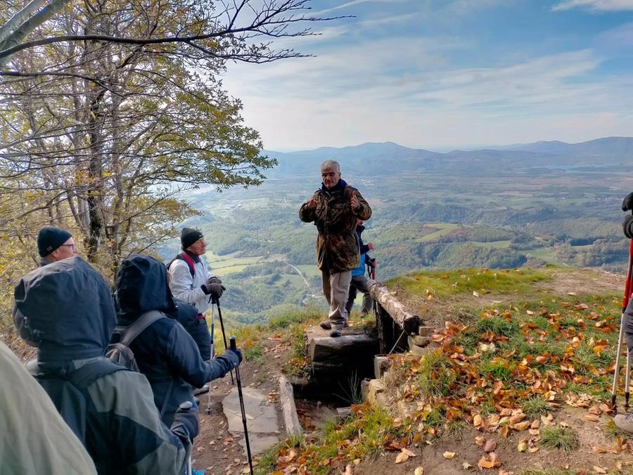 immagine di sfondo 1