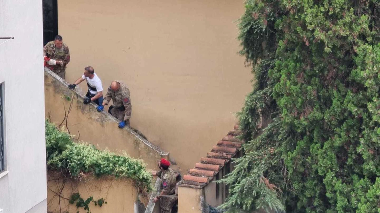immagine di sfondo 6