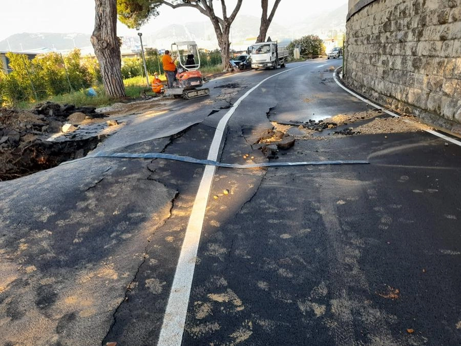 immagine di sfondo 3