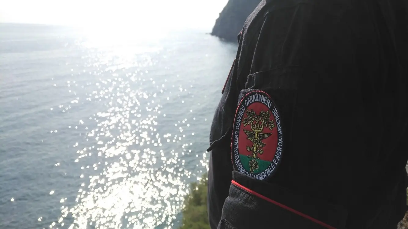 Carabinieri Carabinieri