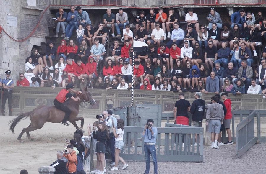 immagine di sfondo 17