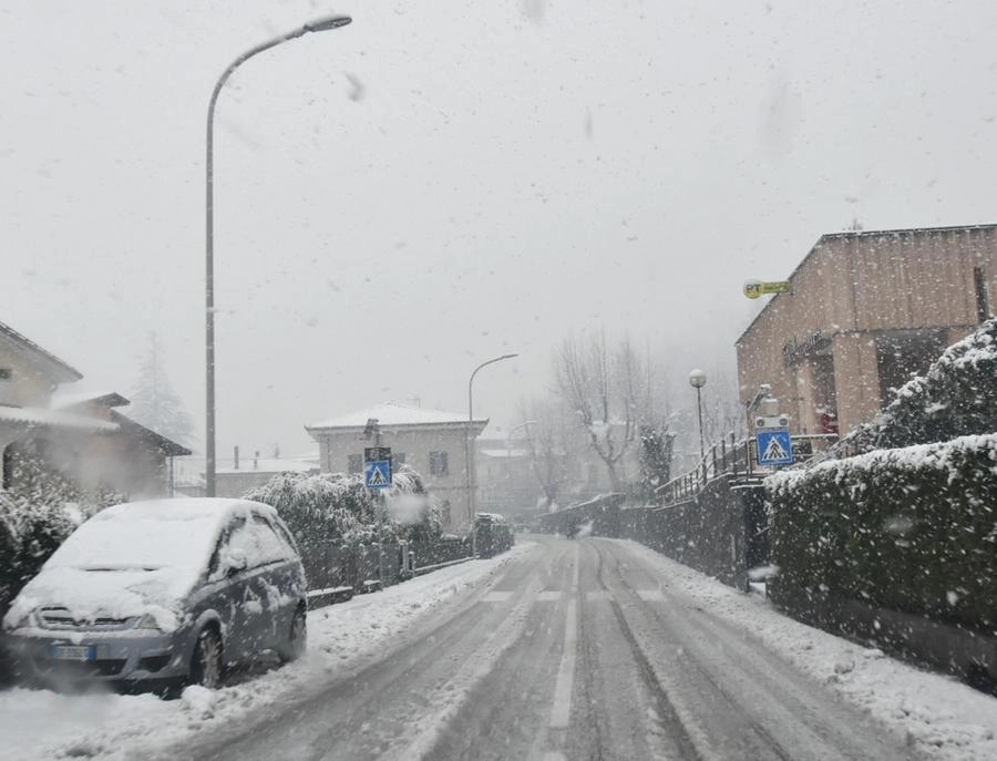 immagine di sfondo 1