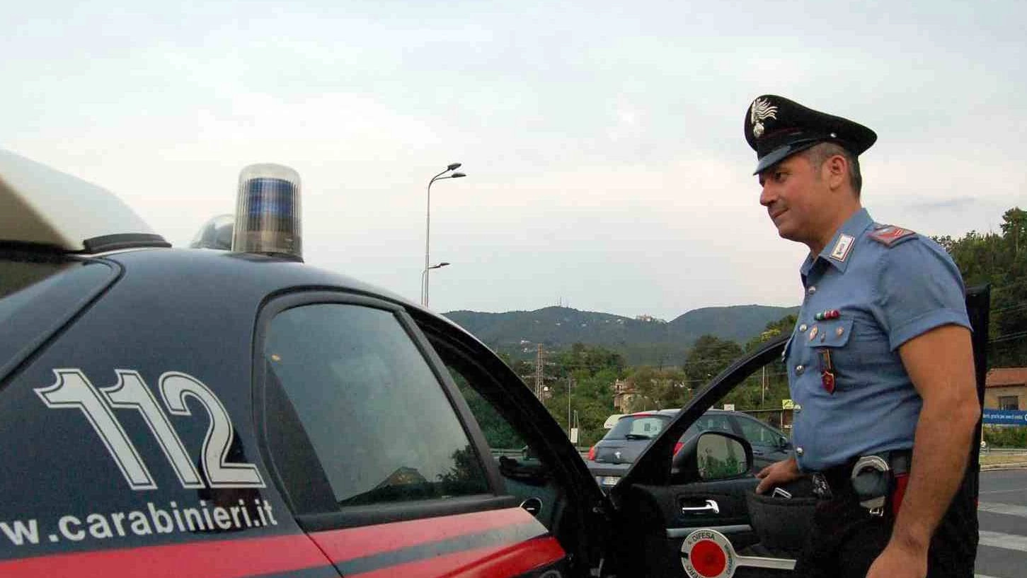 L'operazione è stata condotta dai carabinieri L'operazione è stata condotta dai carabinieri