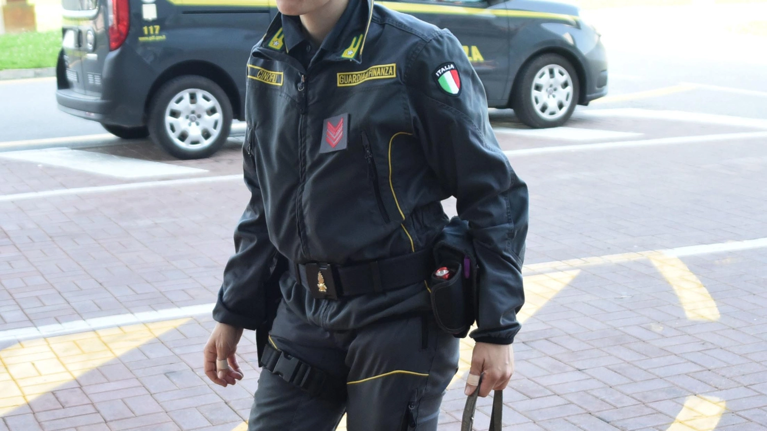 Coltivava papavero da oppio  Sequestrate 279 piante a Gaiole