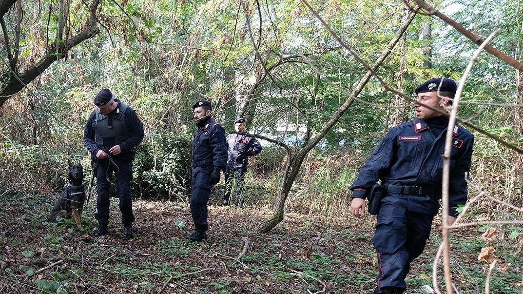 Ragazza aggredita in auto Al setaccio i bivacchi nel bosco della droga Ragazza aggredita in auto Al setaccio i bivacchi nel bosco della droga