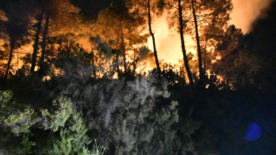L'incendio sul Candia (Nizza)