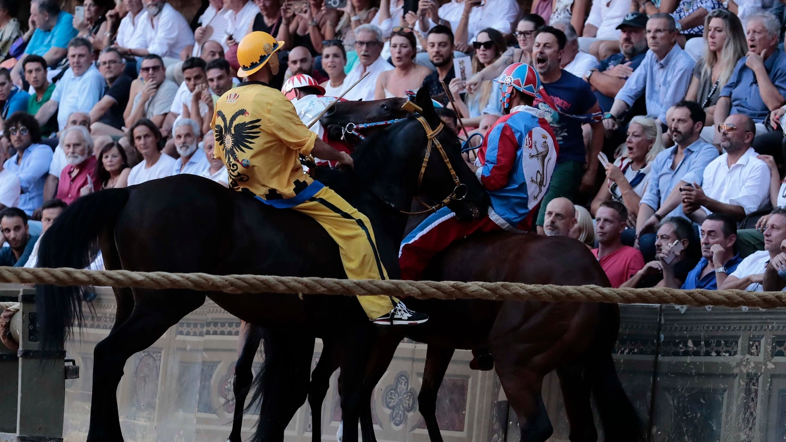 Palio dell'Assunta, Aquila e Pantera fra i canapi (Foto Lazzeroni) Palio dell'Assunta, Aquila e Pantera fra i canapi (Foto Lazzeroni)