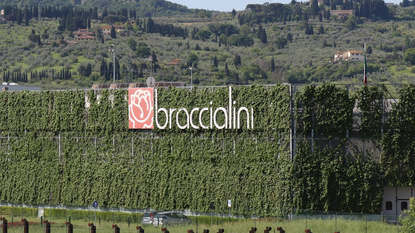 L'azienda Braccialini (foto Germogli)