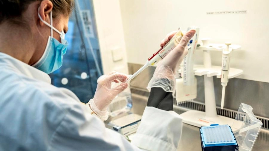 L'andamento della pandemia L'andamento della pandemia