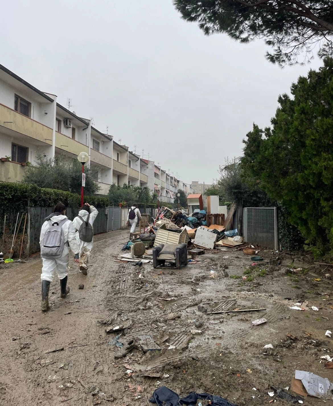 immagine di sfondo 2
