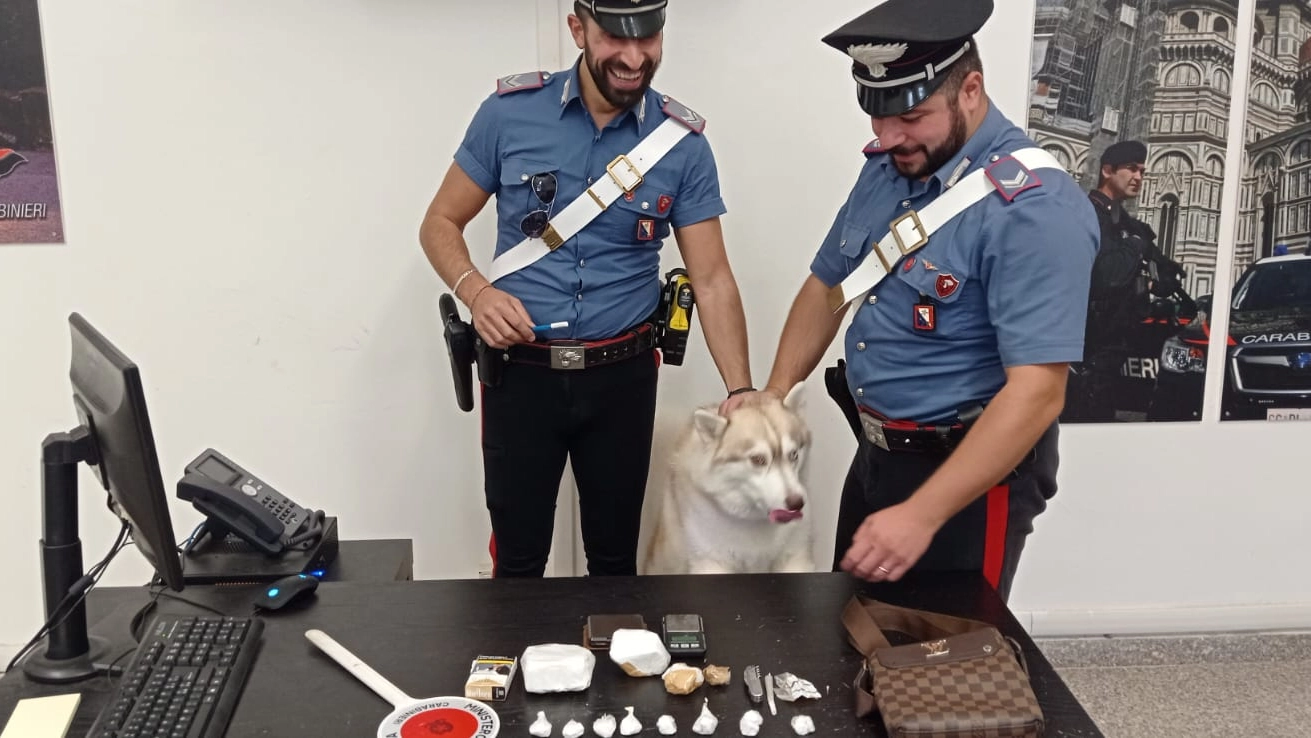 La droga sequestrata La droga sequestrata