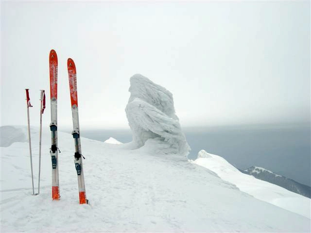 immagine di sfondo 11
