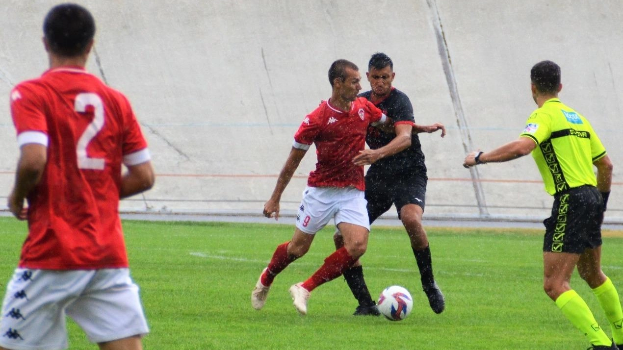 Alcione e Vogherese a Milano: subito esami difficili in Serie D
Alcione e Vogherese a Milano: subito esami difficili in Serie D