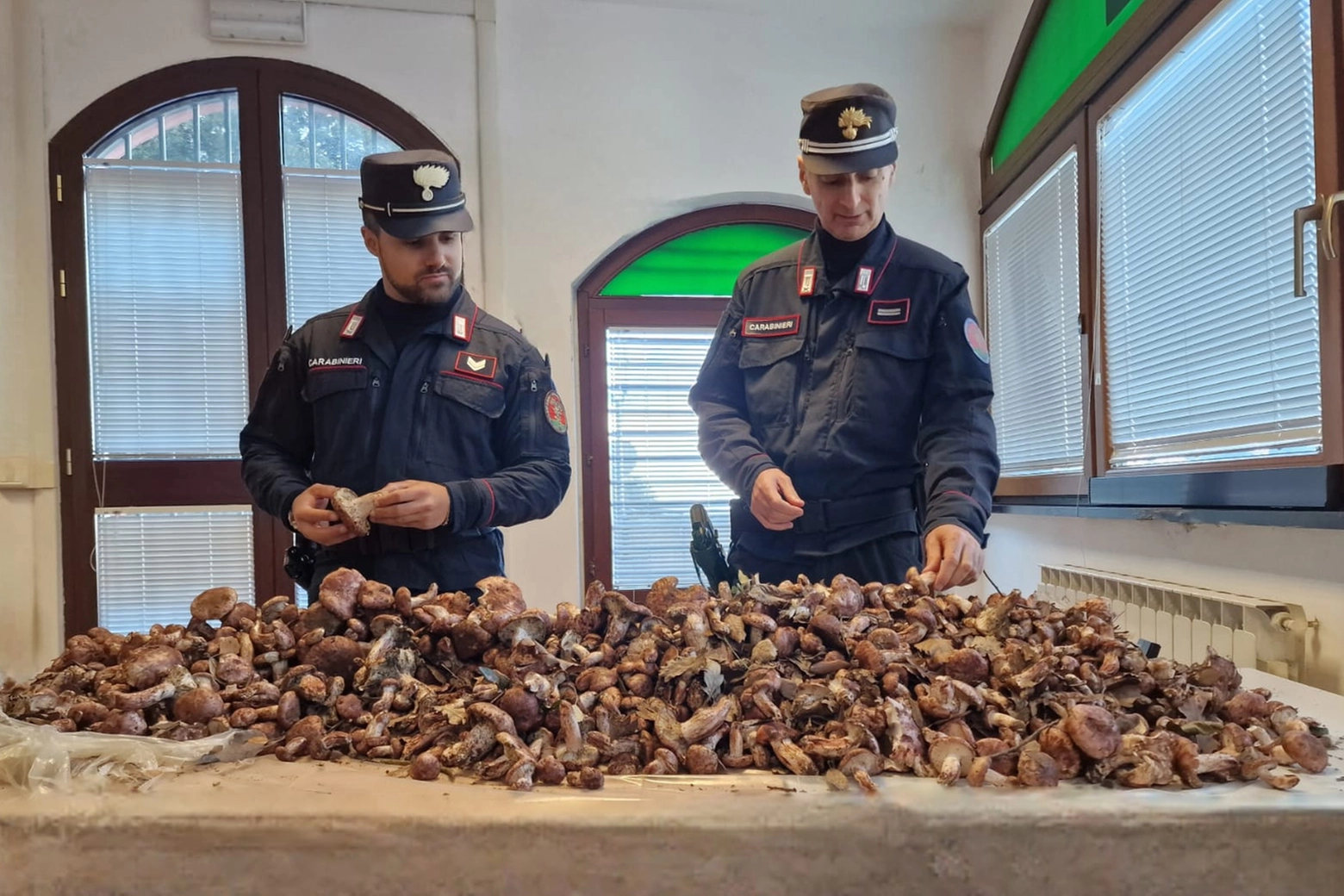 I funghi sequestrati dai carabinieri forestali