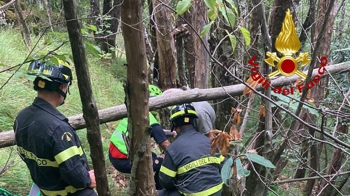 Disperso nel bosco. Ritrovato dopo ore in buone condizioni