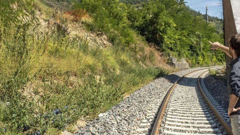 Riapre la faentina Pendolari e sindaci in rivolta: "Corse cancellate e orari improponibili" Riapre la faentina Pendolari e sindaci in rivolta: "Corse cancellate e orari improponibili"
